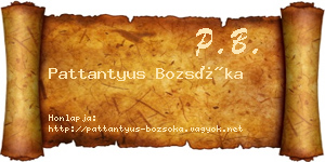 Pattantyus Bozsóka névjegykártya